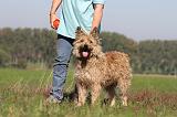 ADULTE ET CHIEN 085